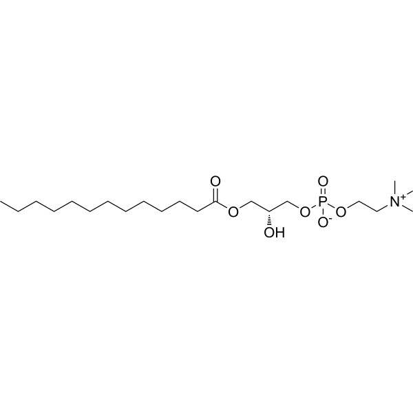 1-Tridecanoyl-2-hydroxy-sn-glycero-3-phosphocholine 20559-17-5
